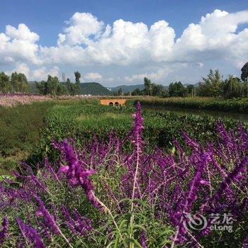 澄江鼎逸客栈酒店提供图片