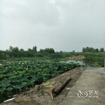 安新丽景农家院酒店提供图片