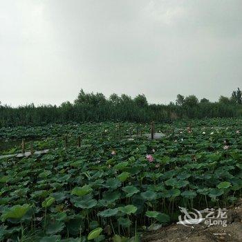 安新丽景农家院酒店提供图片