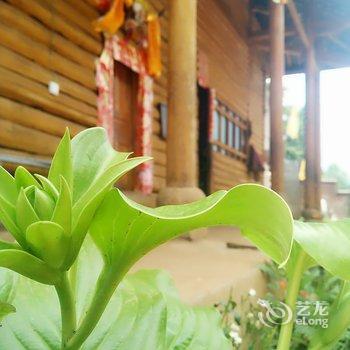 泸沽湖湿地花楼客栈酒店提供图片