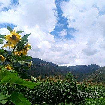 泸沽湖湿地花楼客栈酒店提供图片