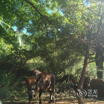 泸沽湖湿地花楼客栈酒店提供图片