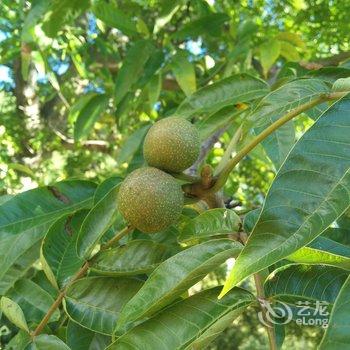 泸沽湖湿地花楼客栈酒店提供图片