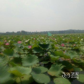 微山荷缘聚酒店酒店提供图片