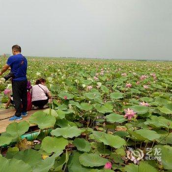 微山荷缘聚酒店酒店提供图片