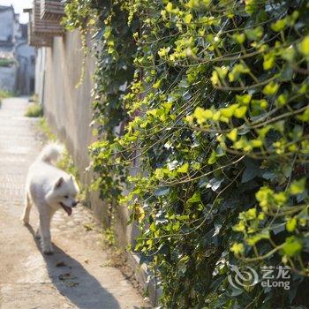 宏村笆篱乡舍(黄山)酒店提供图片