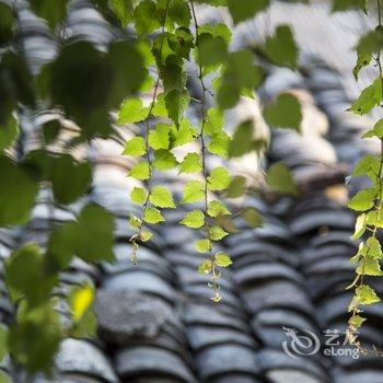 宏村笆篱乡舍(黄山)酒店提供图片