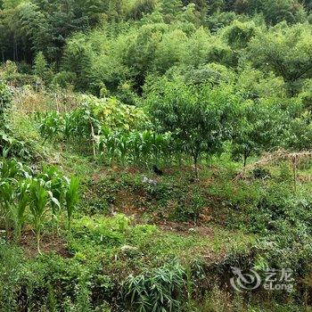 德清蕾圆客栈酒店提供图片