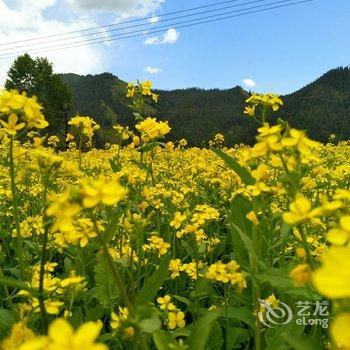 祁连八宝枫香园酒店提供图片