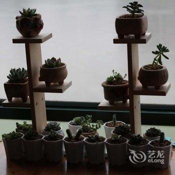 重庆想多了青年旅舍酒店提供图片