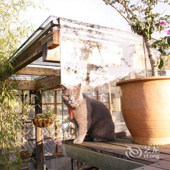 腾冲和顺月地云阶客栈酒店提供图片