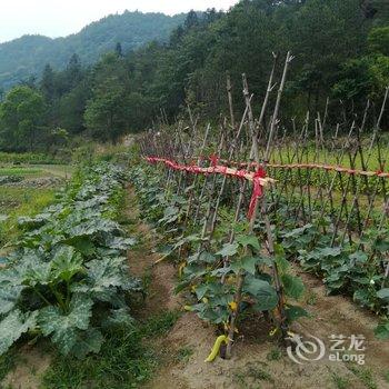 天柱山七星山庄酒店提供图片