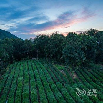 杭州堂庭青芝坞民宿酒店提供图片