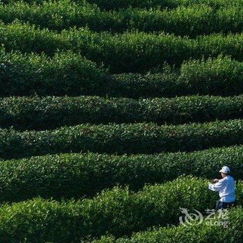 杭州堂庭青芝坞民宿酒店提供图片