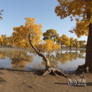 额济纳旗喜来居家庭旅馆酒店提供图片