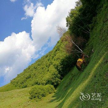 承德丰宁坝上草原喜阳洋庄园酒店提供图片