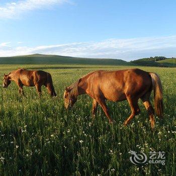 克什克腾旗八骏马摄影之家酒店提供图片