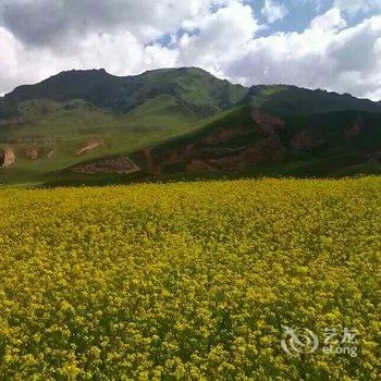 祁连牧羊人家庭宾馆酒店提供图片