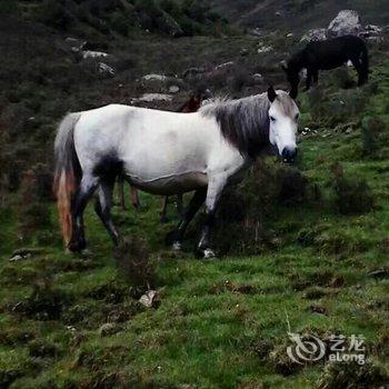 祁连牧羊人家庭宾馆酒店提供图片