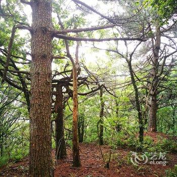 大别山紫云缘客栈酒店提供图片