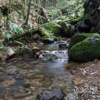 丽水云鹤水岸住宿酒店提供图片