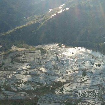 元阳蘑菇客栈酒店提供图片