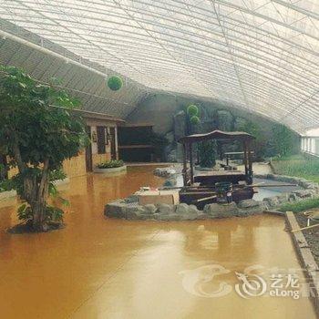 盘锦市绿之春农家院酒店提供图片