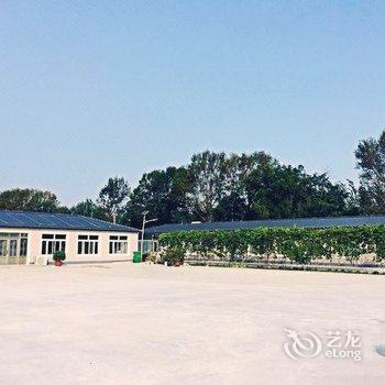 盘锦市绿之春农家院酒店提供图片