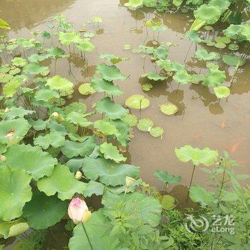 丽水云和梯田谷丰农家乐酒店提供图片