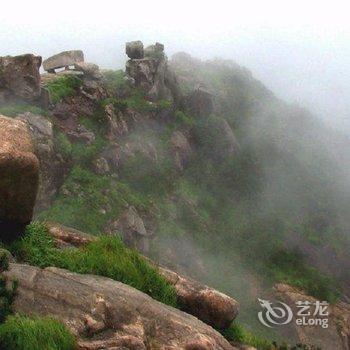 丽水秀水雅居民宿酒店提供图片