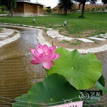 朔州南山美郡酒店提供图片