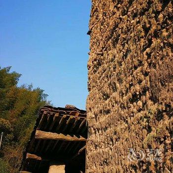 青田坐忘阁民宿酒店提供图片