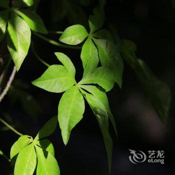 弥勒天池都温泉度假酒店酒店提供图片