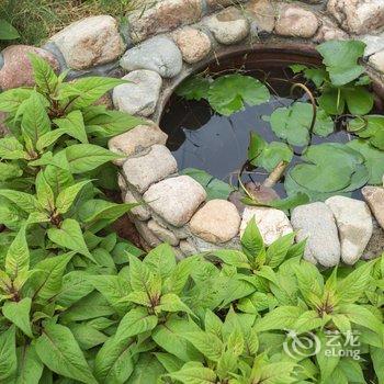 湖州莫干山清泉客栈酒店提供图片