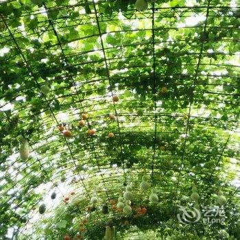 北戴河十八间客栈酒店提供图片