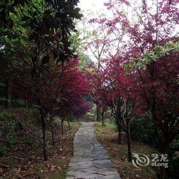 武当山太子居酒店提供图片