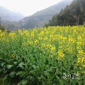 浙西大峡谷龙仔湾山庄酒店提供图片