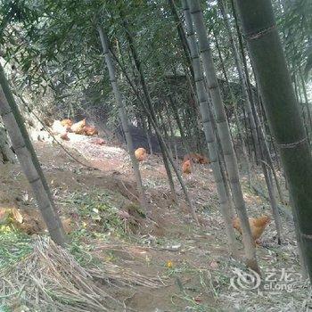 浙西大峡谷龙仔湾山庄酒店提供图片