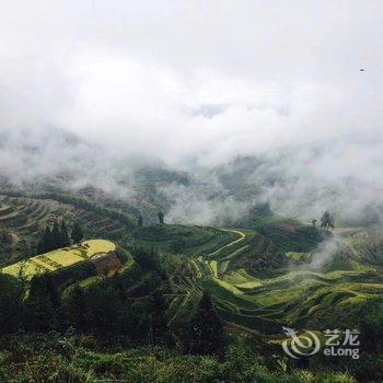 丽水云和梯田语林遇宿客栈酒店提供图片