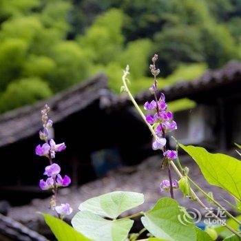 永嘉林坑古村落林仙阁客栈酒店提供图片