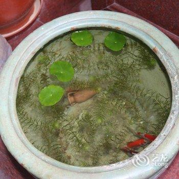 潮州二木客栈酒店提供图片