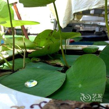 珠海面朝大海青年旅舍酒店提供图片