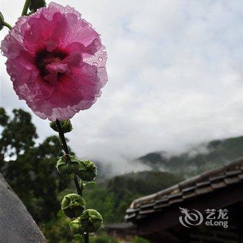 香格里拉哈巴雪山云上哈巴客栈酒店提供图片