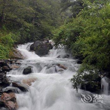 香格里拉哈巴雪山云上哈巴客栈酒店提供图片