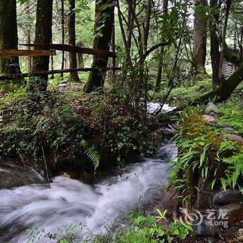 香格里拉哈巴雪山云上哈巴客栈酒店提供图片