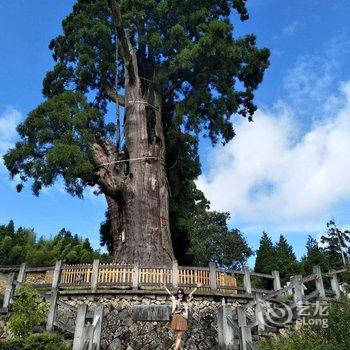 景宁青田山居酒店提供图片