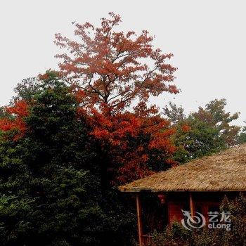 余姚四明云顶民宿酒店提供图片