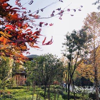 重庆鉴山国际度假村酒店提供图片