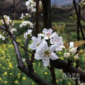 婺源月亮湾俞家民宿酒店提供图片