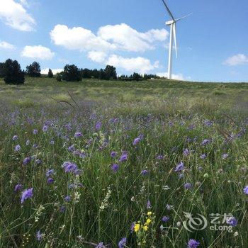 围场欣欣家庭公寓酒店提供图片